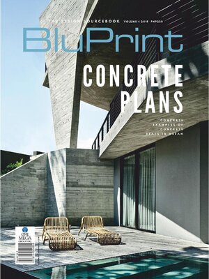cover image of BluPrint